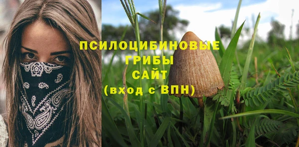 мескалин Нязепетровск