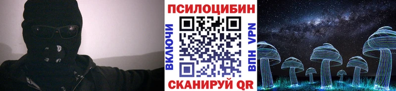Псилоцибиновые грибы Cubensis  Невельск 